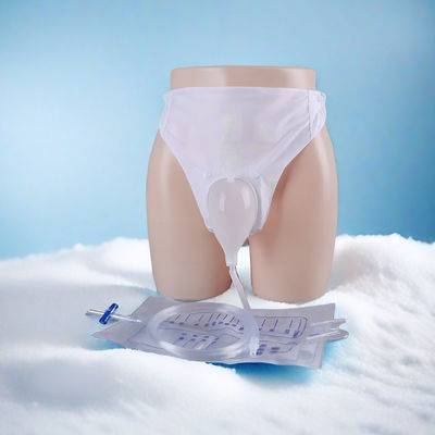 Λιμφατικοί σάκοι Αποχέτευση ούρων Αποχέτευση Ούριο σάκος Οικιακό όργανο Ταξινομή κατηγορία Ι